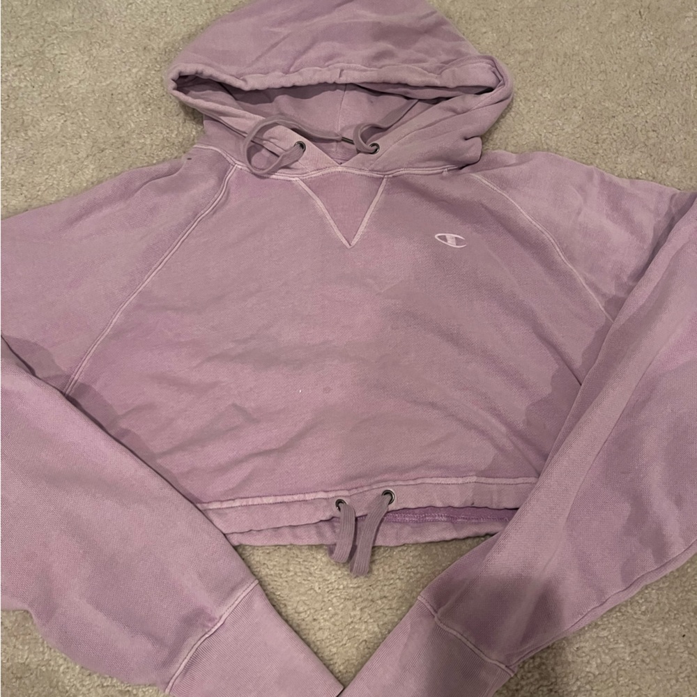 champion cropped hoodie